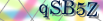 default Security Image