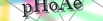 default Security Image