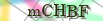 default Security Image