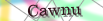 default Security Image