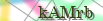 default Security Image