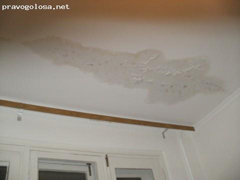 Отзыв на Шевченківська районна організація