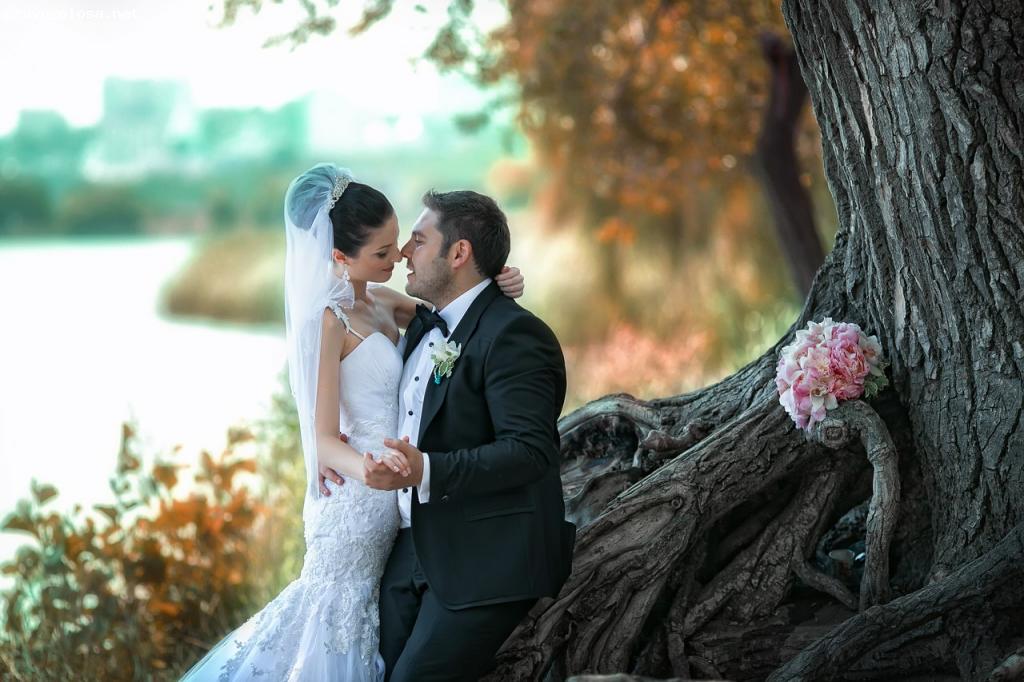 Отзыв на Лимузин престиж