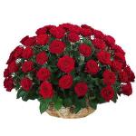 Компания SFLowers отзывы