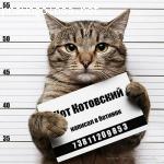 Департамент транспорта г. Омск отзывы