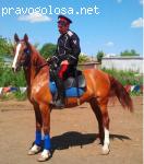 Отзыв на Казачья школа верховой езды и джигитовки "Атаман"