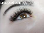 Студия наращивания ресниц Kitty Lashes отзывы