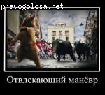 Либерти Финанс(Liberty Finance) отзывы