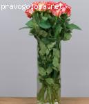 Простоцветы отзывы