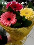 Компания SFLowers отзывы