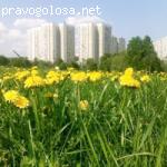 Водоснабжение и зимняя уборка Барышихи и придомовых территорий