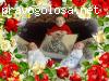 Роддом больницы им. Пирогова 20-ое отделение