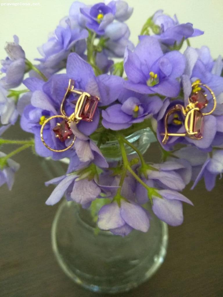 Отзыв на Novikov24.ru