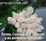 ООО "Правовая защита" отзывы