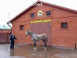 Отзыв на Конный двор
