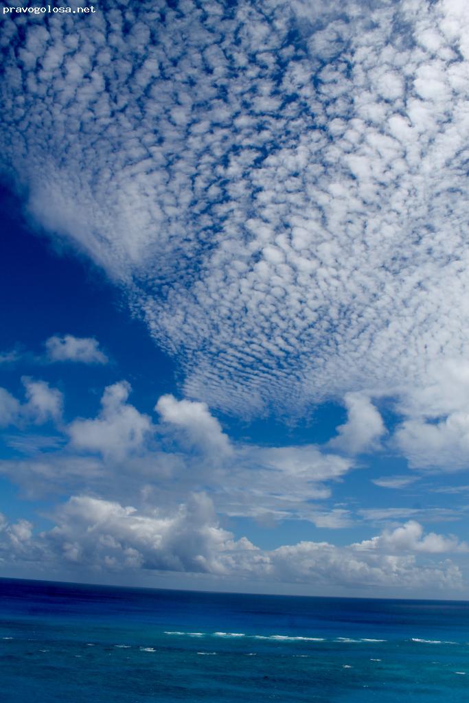 Отзыв на Ultra Gym