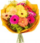 Агентство недвижимости ВЕРОНА отзывы