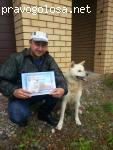 Школа дрессировки собак Akita Dog School отзывы