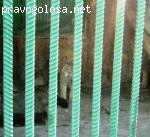 Жуткое зрелище!