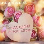 Карина Каеде отзывы