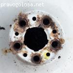 «Волшебники любви» - портал любовной магии отзывы