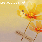 Респект Плюс Екатеринбург отзывы