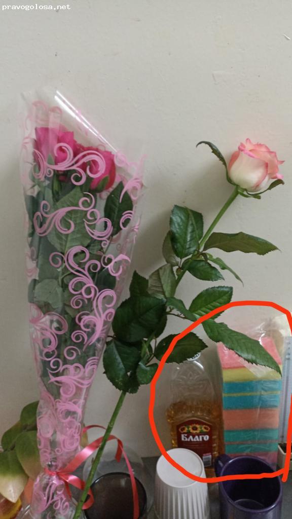 Отзыв на YESLER витаминный комплекс