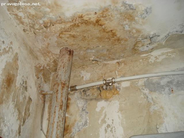 Отзыв на КЖП № 25