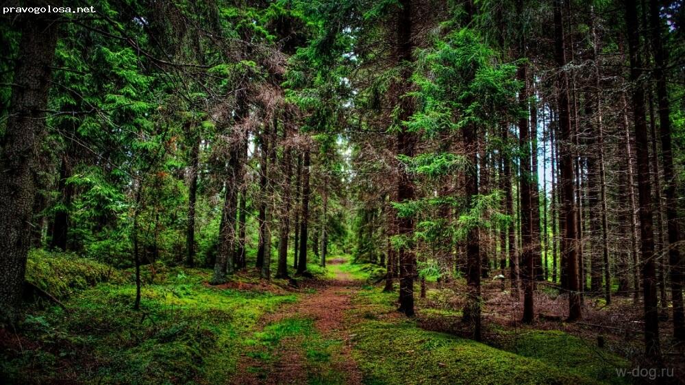 Отзыв на Лагуна Тур