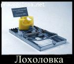 Отзыв на makita-instrumeint.ru