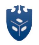 Морской контейнер отзывы