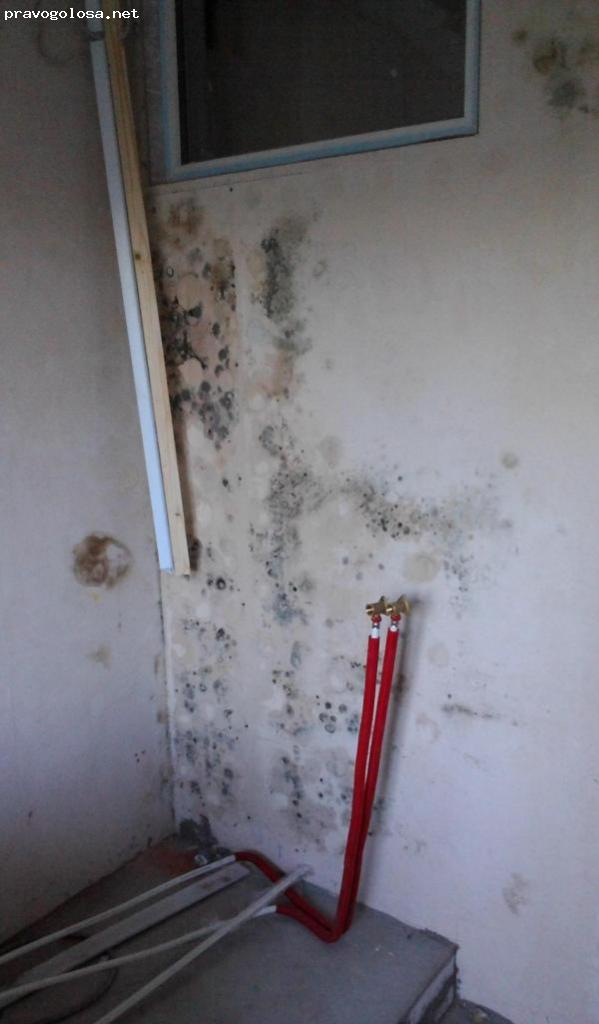 Отзыв на Николай Сергеевич, плиточник, отделочник, Екатеринбург