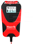 Импульсное зарядное устройство Hasvik SkånsomLade отзывы