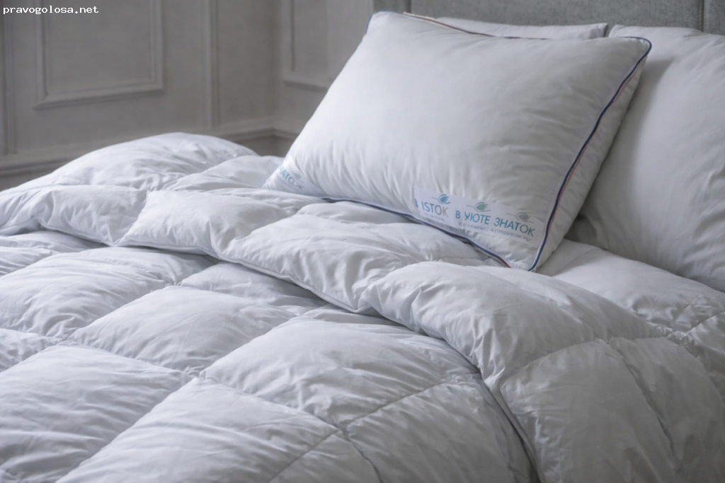 Отзыв на Исток - Сибирские пуховые товары