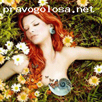 Отзыв на Топ Левел Москва