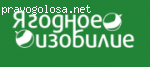 Ягода РБ отзывы