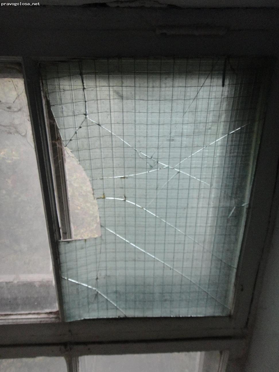 Отзыв на СП, ЖИЛИЩНО-ЭКСПЛУАТАЦИОННАЯ КОНТОРА N1015 Шевченковского района