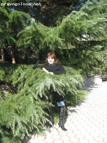 Отзыв на ТОК «Судак»