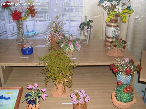 Отзыв на Государственное учреждение образования "Дружненская детская школа искусств"