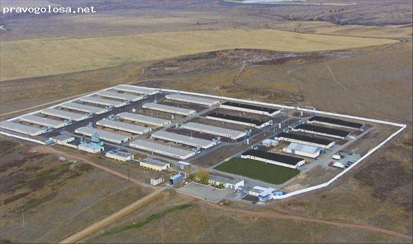 Отзыв на ЗАО "Уральский бройлер"