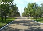 В «Сосновом бору», как в «сосновом раю»