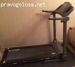 wellness-fitness.ru отзывы