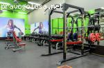 Alex Fitness отзывы