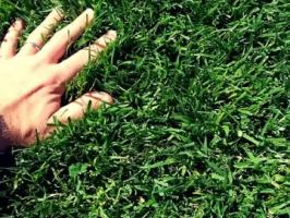 Компания"Косигазон" Компания"Косигазон"