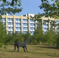 Санаторий Ижминводы