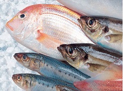 fish-optom.ru fish-optom.ru