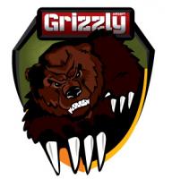 Grizzly Airsoft (интернет-магазин Гриззли Аирсофт)
