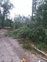 Ураган МЧС МО