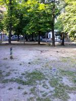 Администрация города Киева (благоустройство))