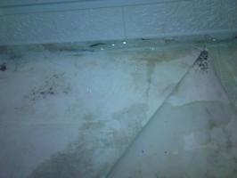 Департамент городского хозяйства г.Омск